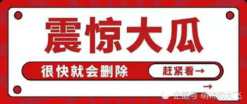 八卦娱乐圈吃瓜账号